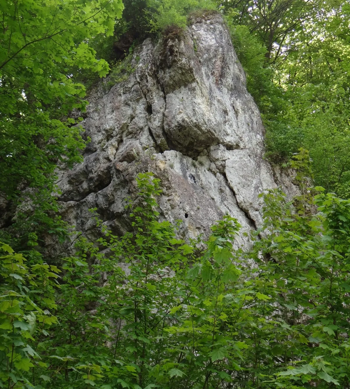 Dupeczka
