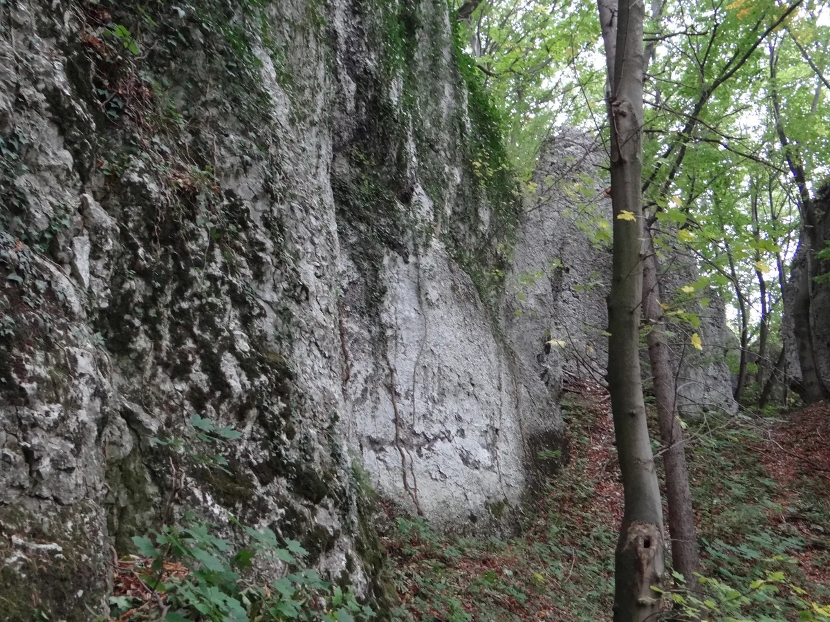 Gęsiarnia