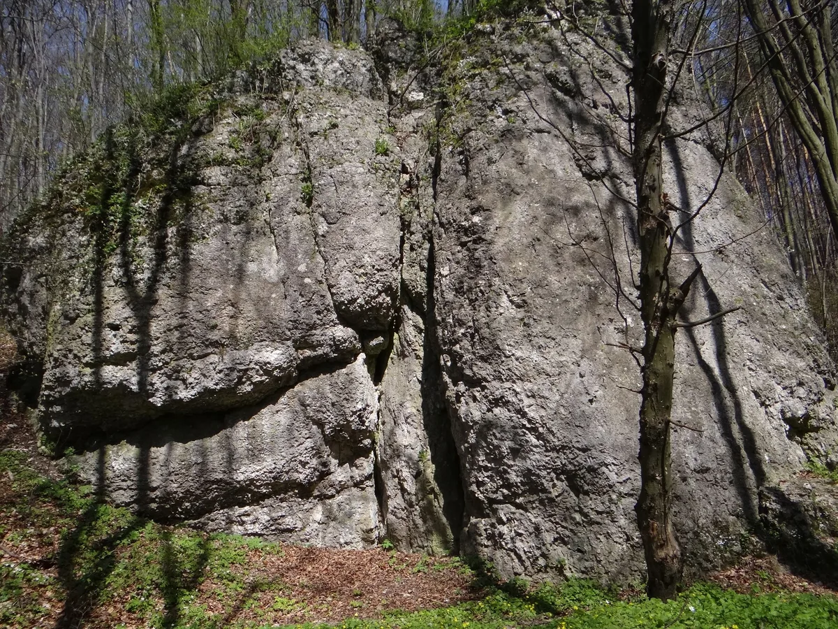 Kołkowa Skała