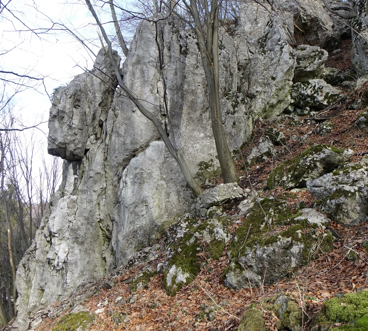 Misiaczek