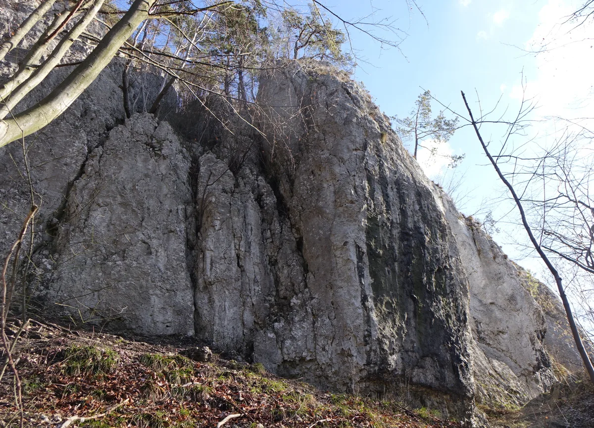 Odpowiednik