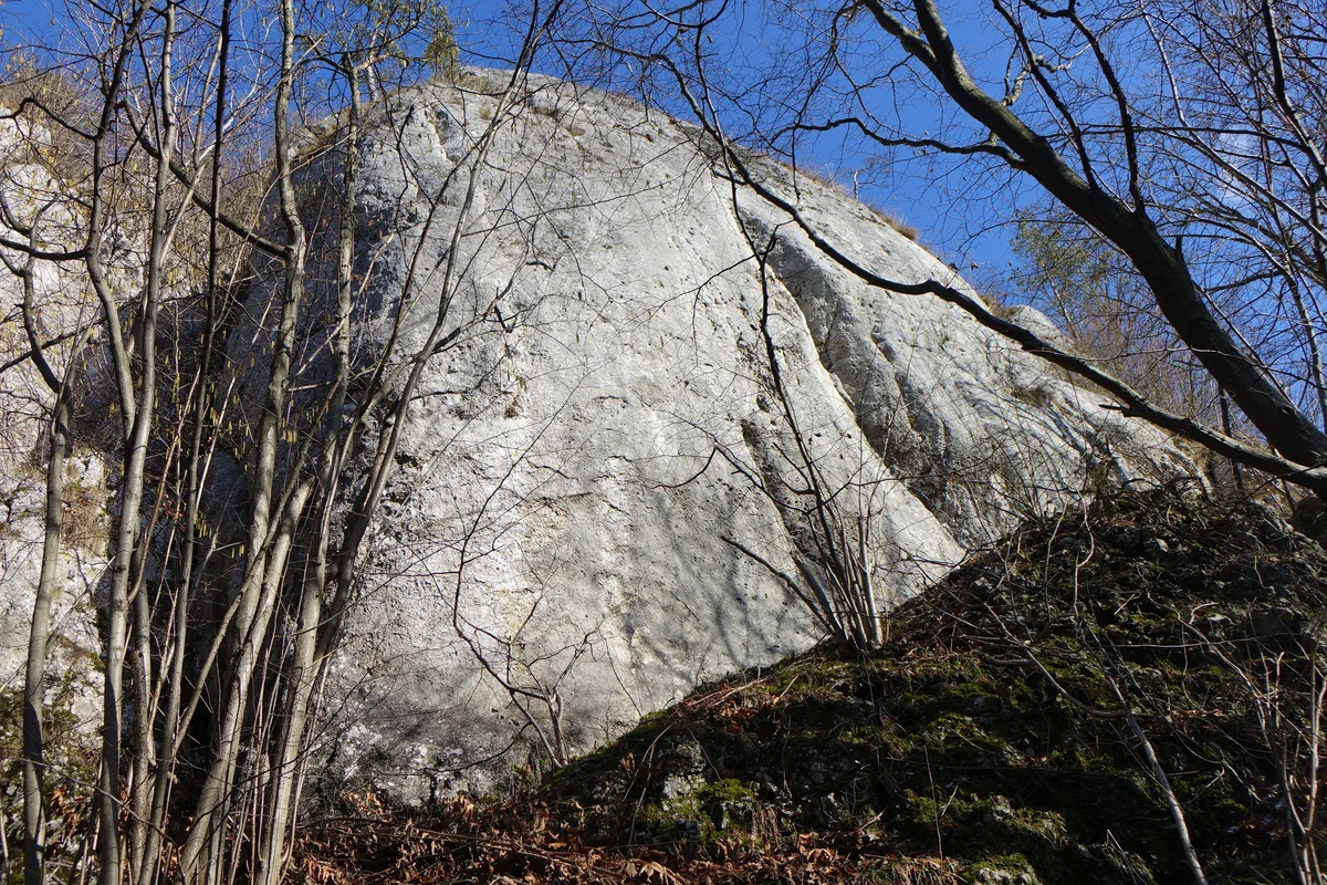 Pytajnik