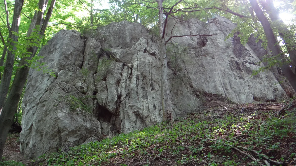 Rybne Skały
