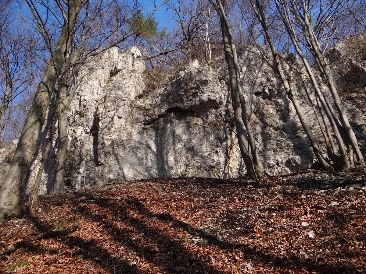 Sarnia Skała