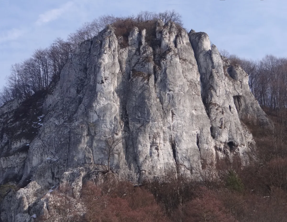 Sokolica