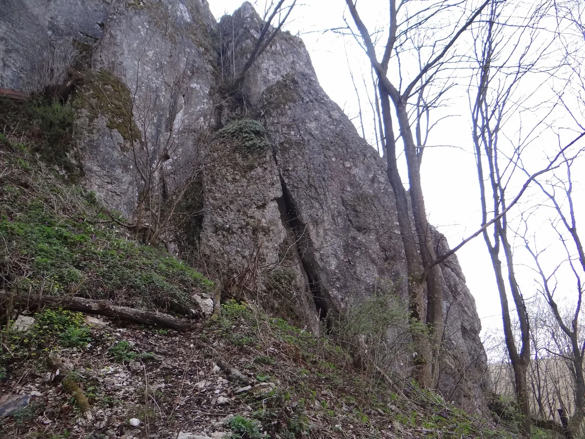 Średnik