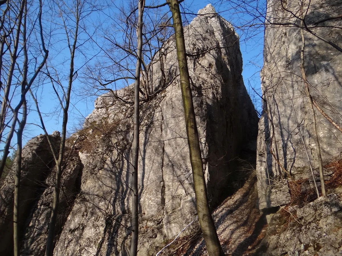 Wężowe Skały