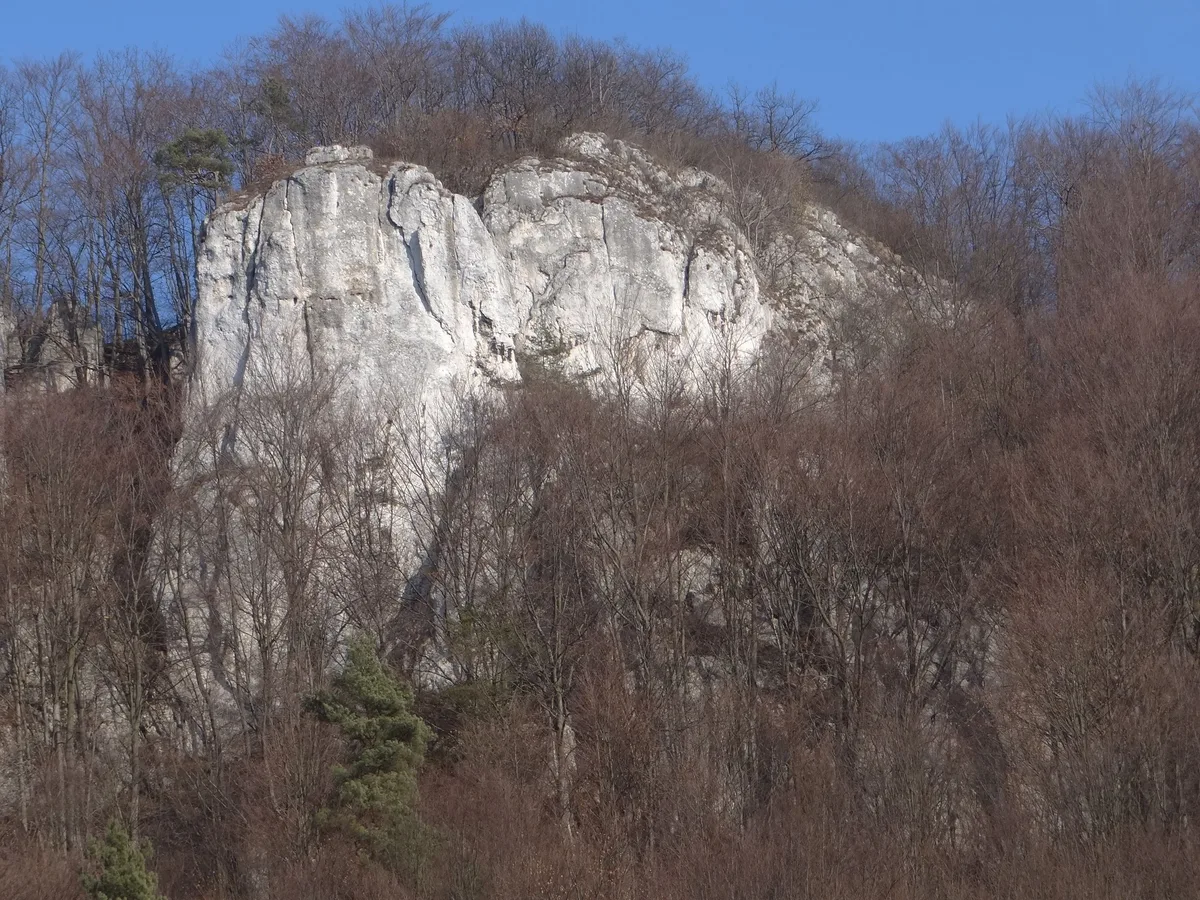Wysoka