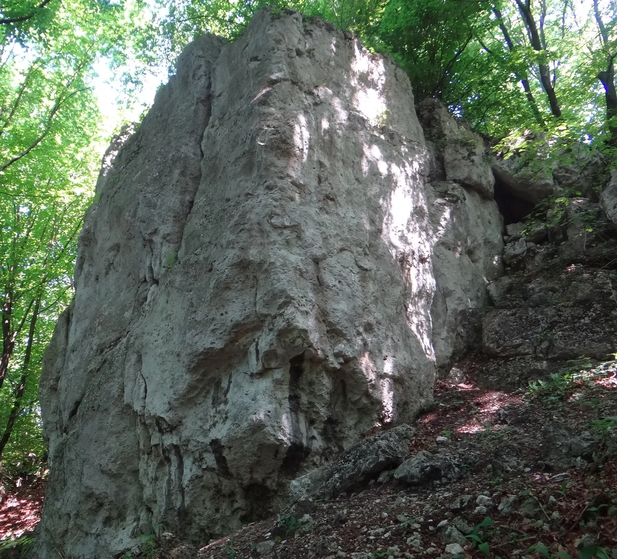 Zaklęty Bastion