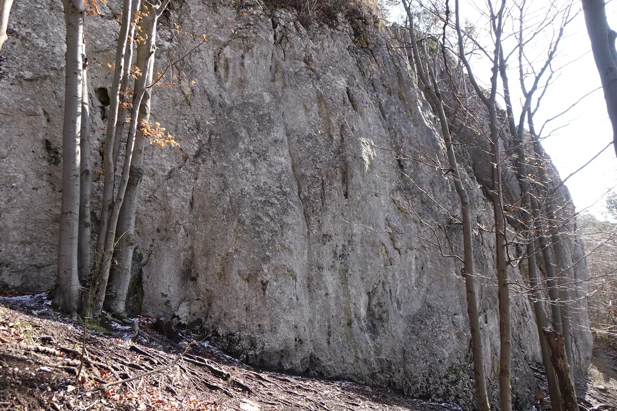 Zapytajnik