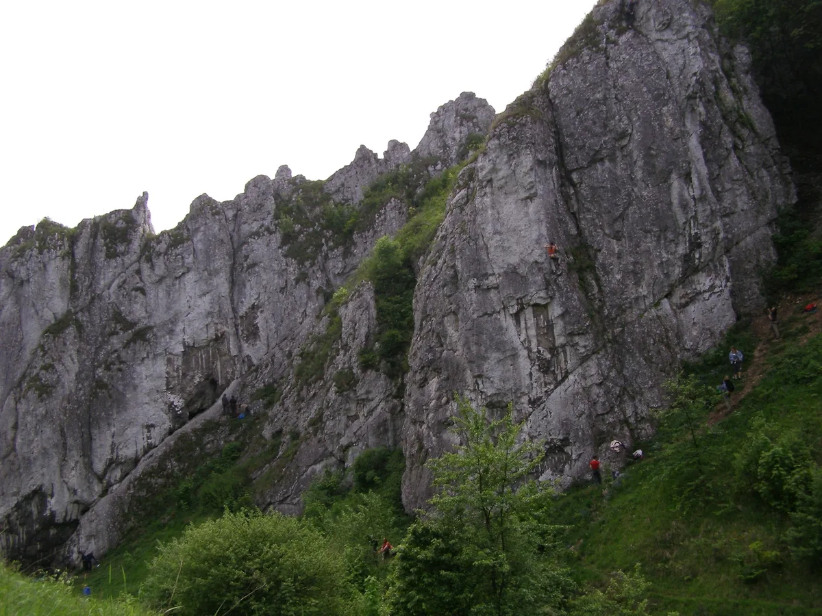 Dolina Bolechowicka