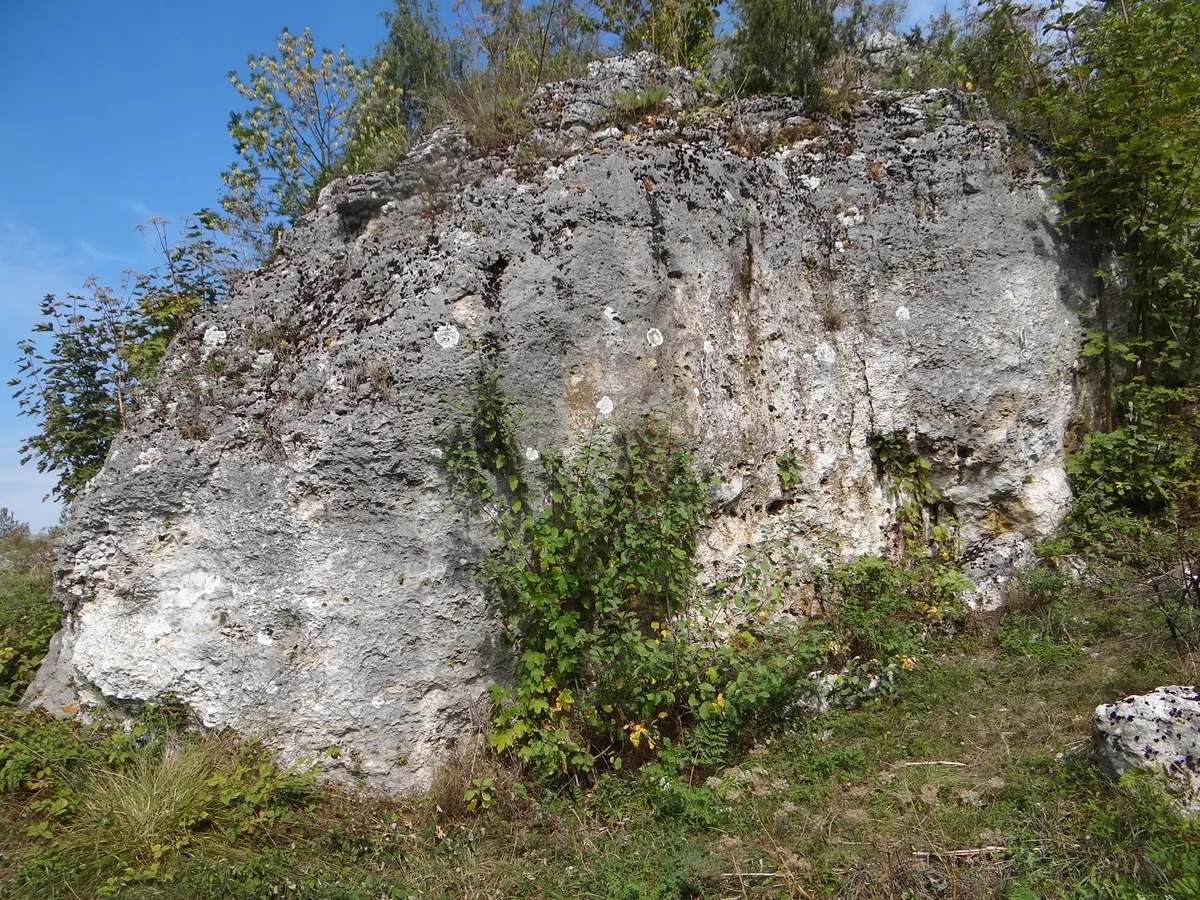 Łutowiec